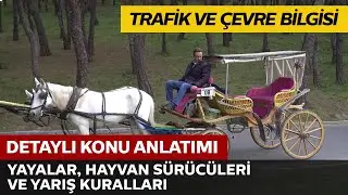 Yayalar, Hayvan Sürücüleri ve Yarışlar Hakkında Kurallar
